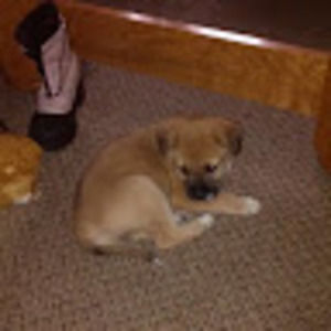 Meet your Posher, Dianna